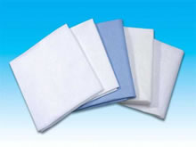 Disposable Bedsheet